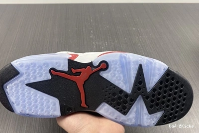 618 6 Air CT8529- Oreo” Bright 7581 “Red Jordan 0819